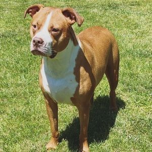 Meet your Posher, Jimmy